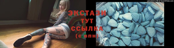 шишки Гусев