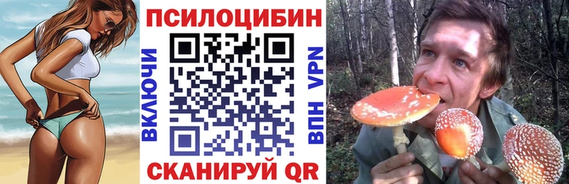 Галлюциногенные грибы Psilocybe Пролетарск